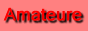 Amateurportal